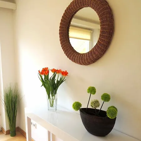 Homing Apartment *